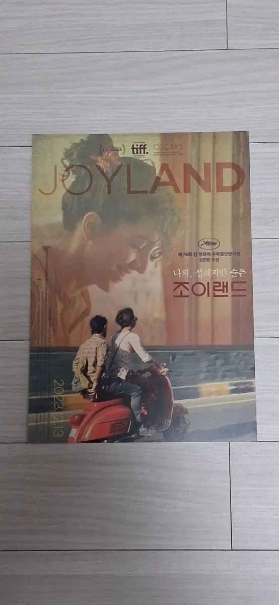 사임사디크감독 알리준조 알리나칸 조이랜드(2023년)전단지