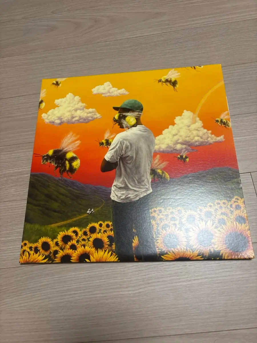 Flower boy lp