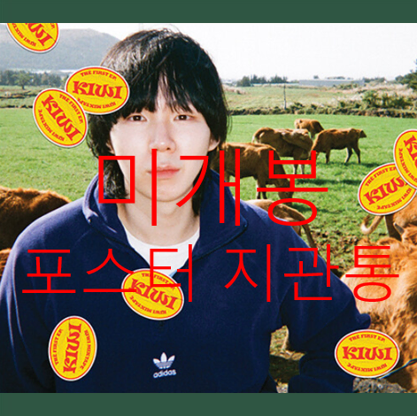 [미개봉] 아일 (I'll) - Kiwi Mixtape (포스터 포함)