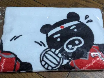 발레부 타월 TBS 배구 BooBo