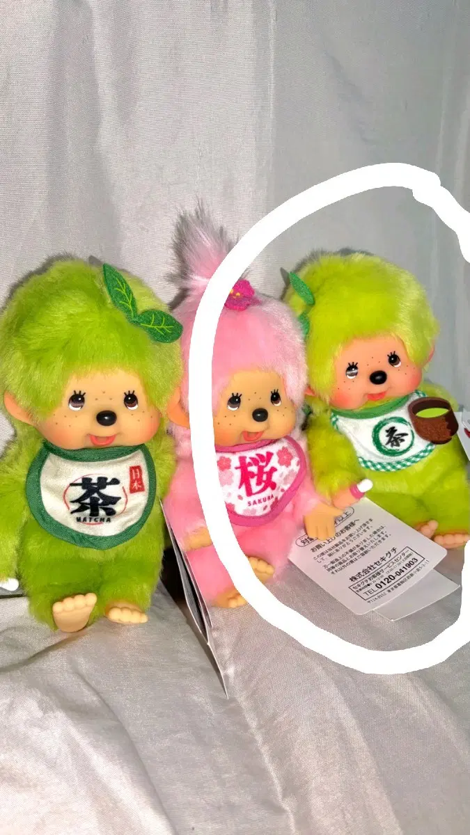 구버전 말차 몬치치 판매
