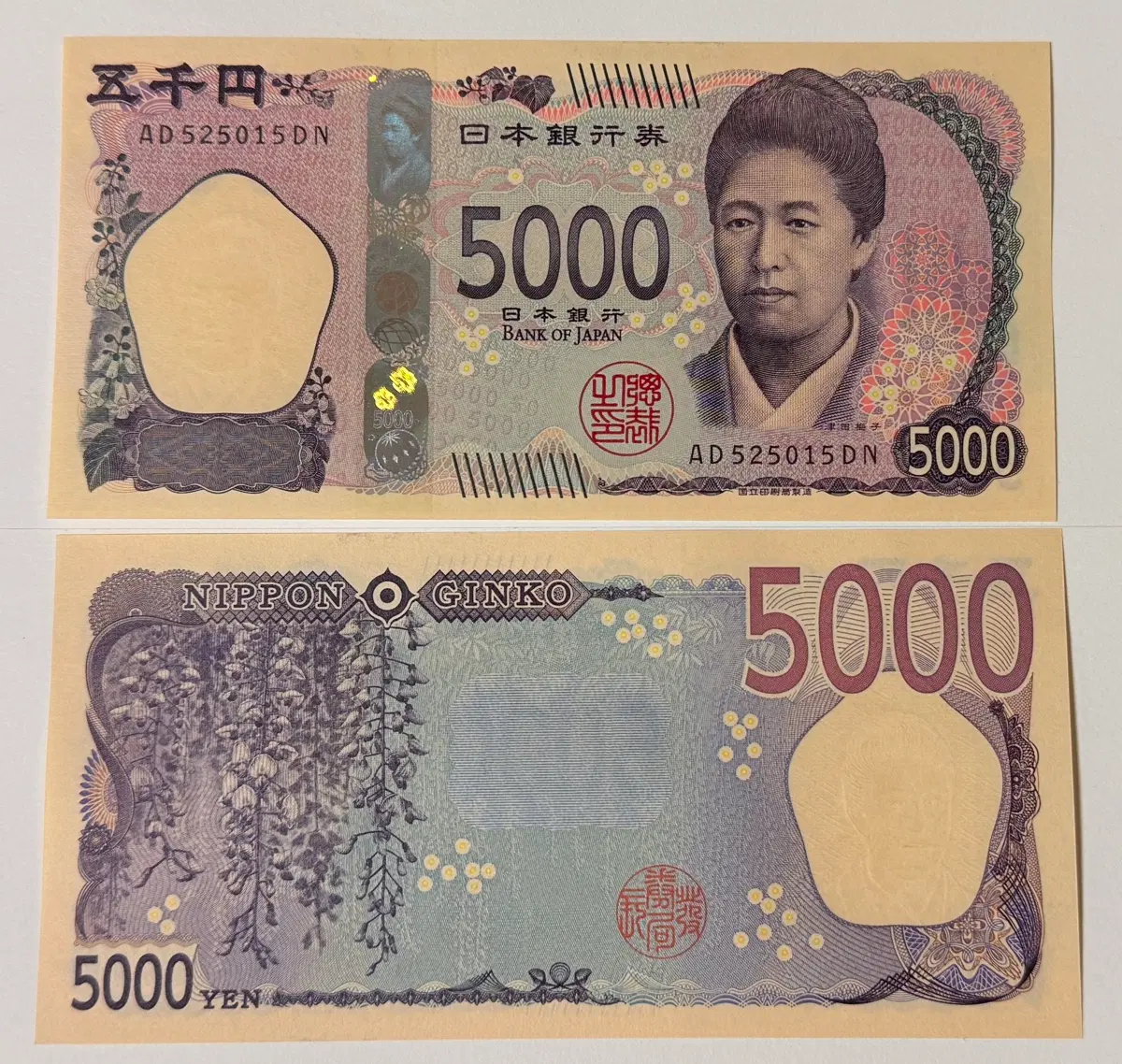 일본 5000엔 2024 완전미사용