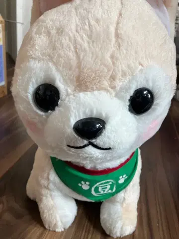 콩시바 봉제 인형
