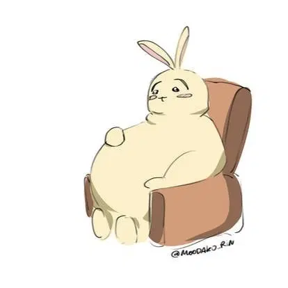 통굽 신발 구매 220~225