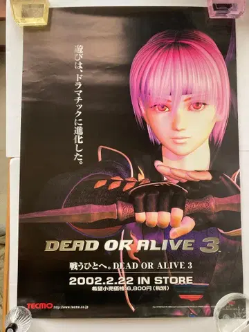DOA 포스터 세트 Xbox 판촉 예약 특전 카스미 아야네 레이팡