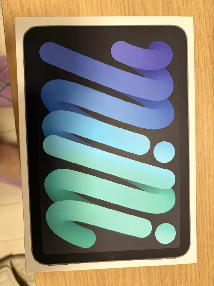애플 아이패드 미니 7세대 스페이스 그레이 Wi-Fi 256GB
