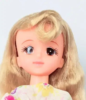 제니 일본제