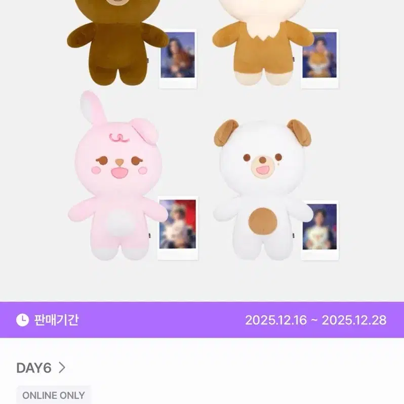 DAY6 자쁘멀 돈 입니다.