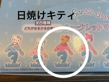 산리오 시크릿 마스코트 샤이니돌핀 일광화상 키티