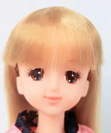 제니 일본제