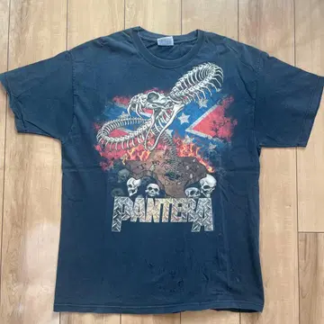 Pantera 밴드 티셔츠 헤비메탈 Hanes