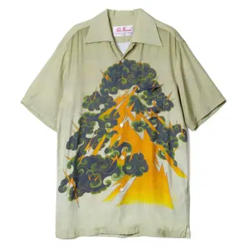 TRADMAN'S Aloha Blossom 아로하 블라썸 42 분재