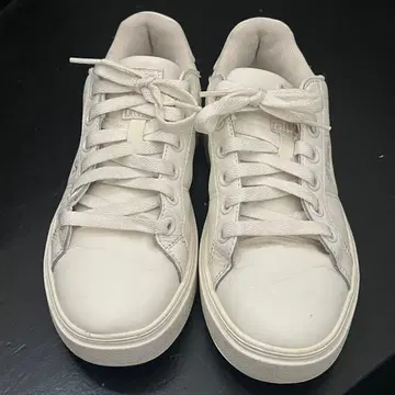FILA 스니커즈 COURT PLUMPY 베이지 24cm