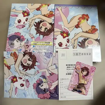 주얼펫 해피니스 DVD-BOX2 (3매)