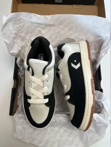 26cm 새상품 CONVERSE SKATEBOARDING TWOTONE
