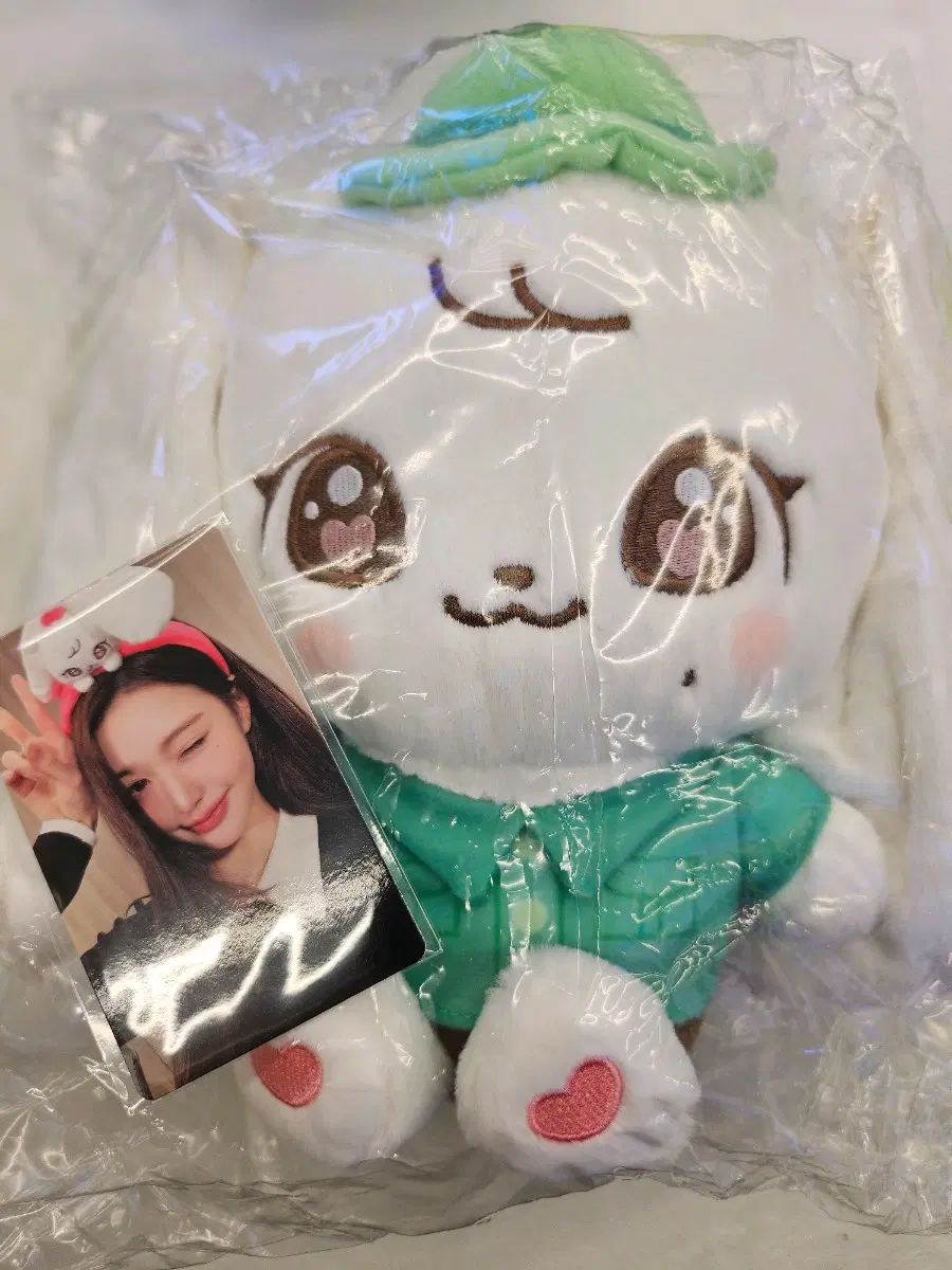 ive아이브 에버랜드 캐스트 스플래시 원영만 포카X