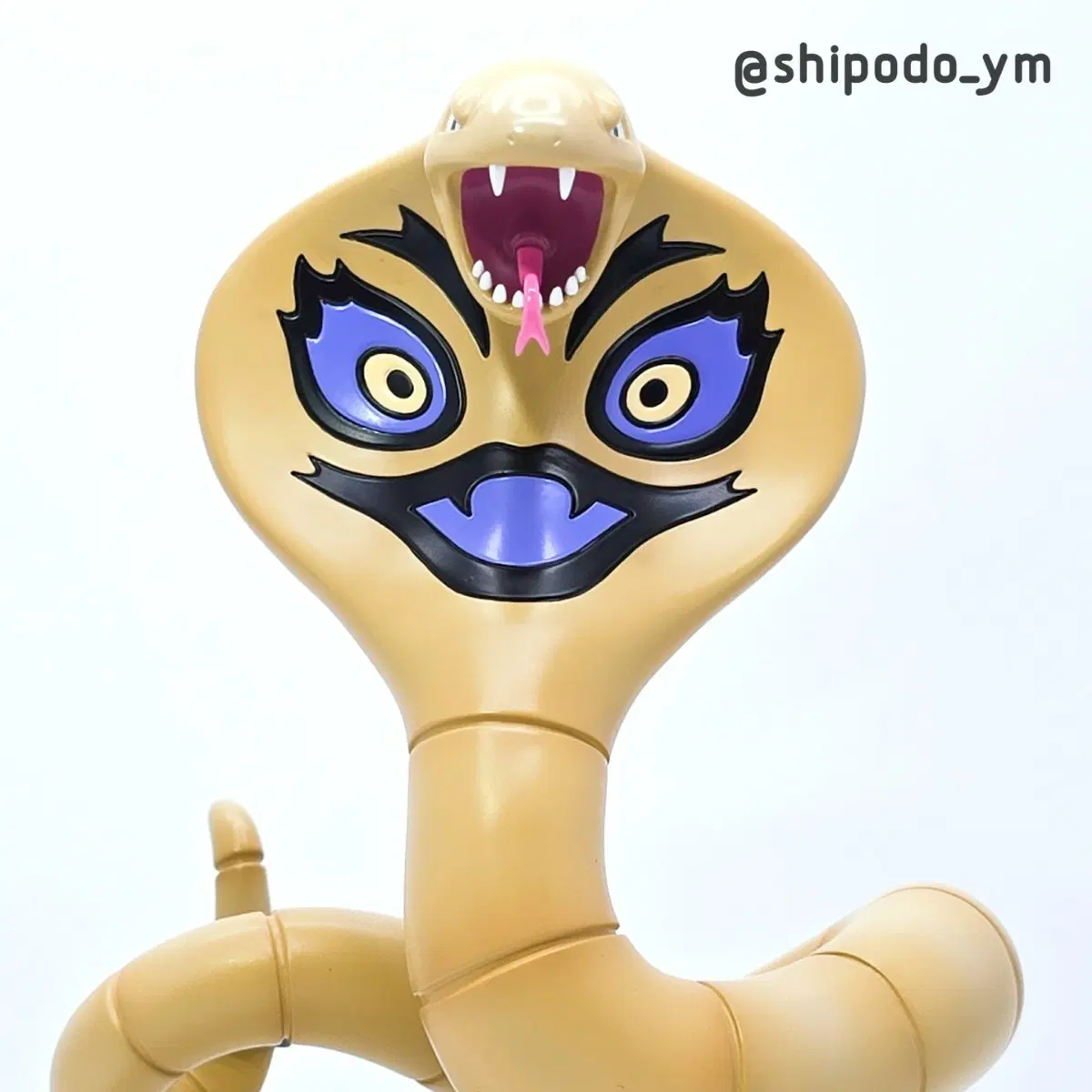 포켓몬스터 스케일월드 아보크 이로치