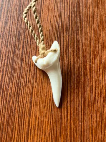 하와이 한정판 상어 이빨 sharkteeth 하와이안 주얼리 목걸이