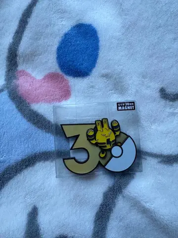 에레키드 포켓몬 30주년 마그넷