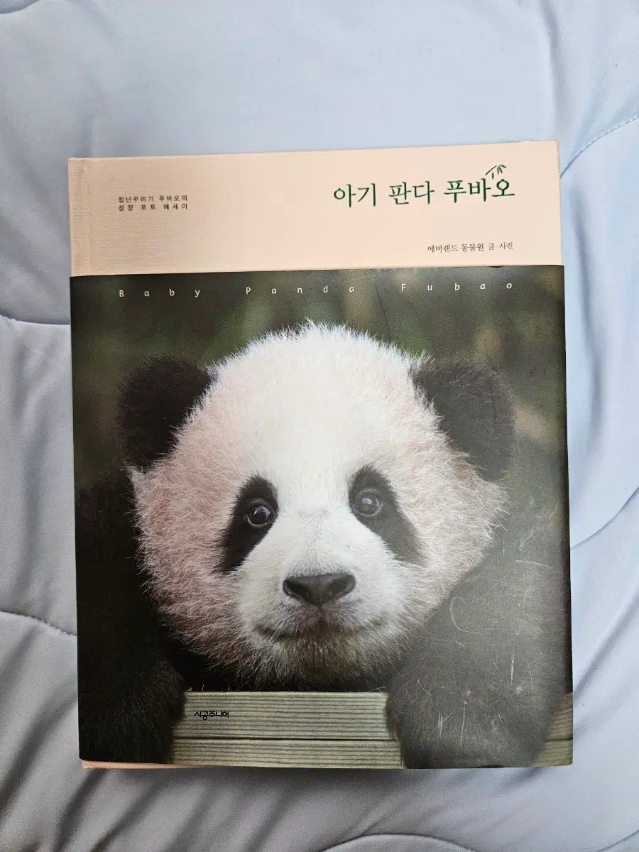 아기판다 푸바오 책 (포토에세이)