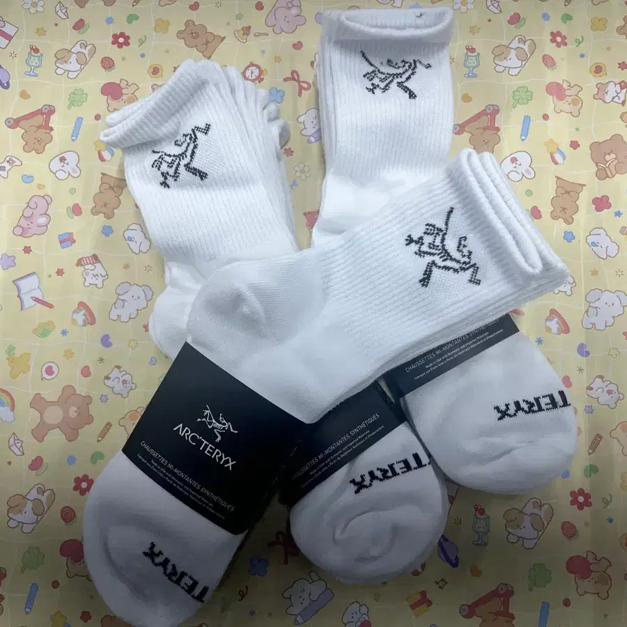 아크테릭스 양말 화이트