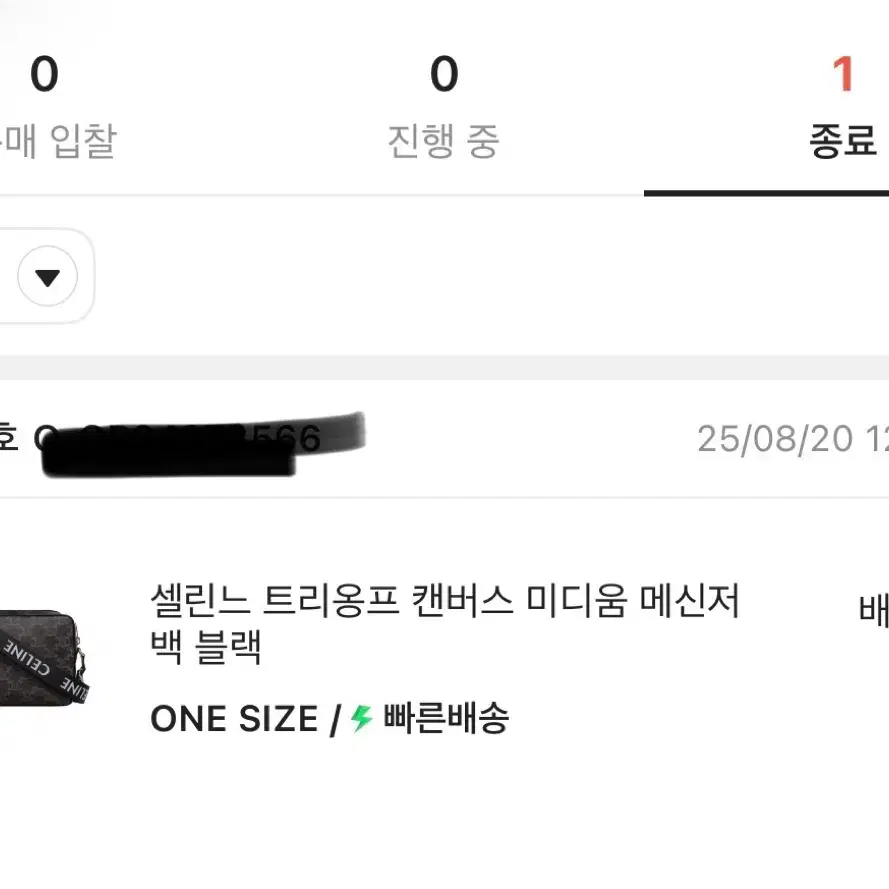셀린느 트리옹프 캔버스 미디움 메신저백