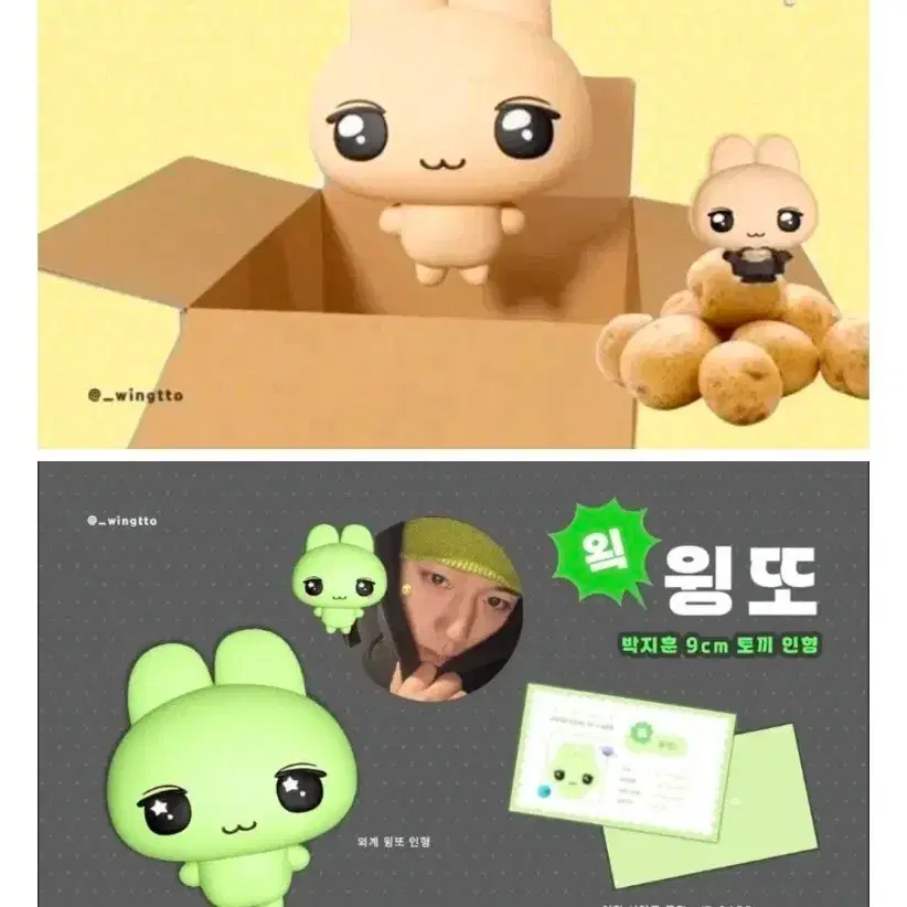 박지훈 인형 윙또 왹윙또 일괄 양도