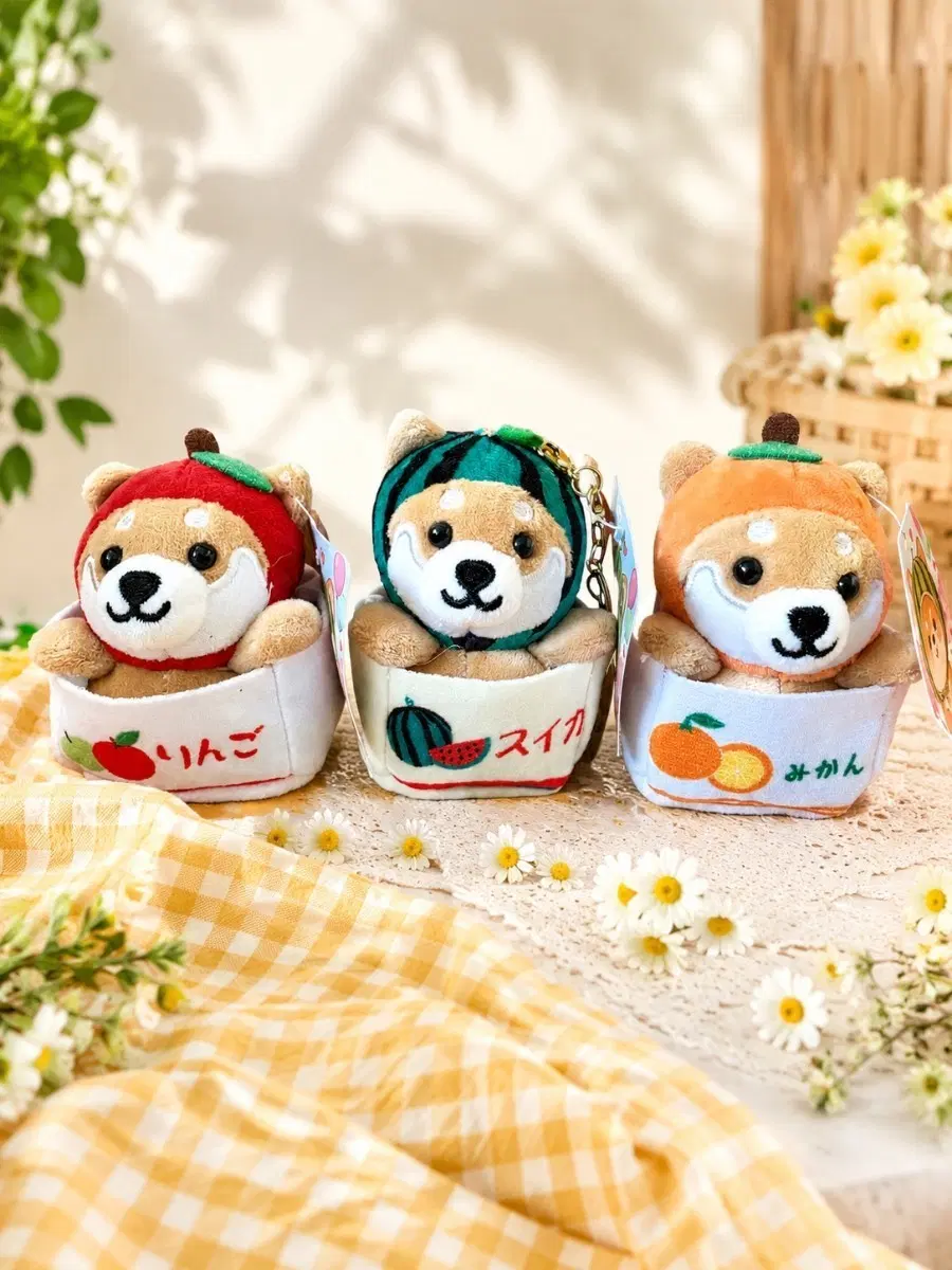 귀여운 시바견 키링 세트