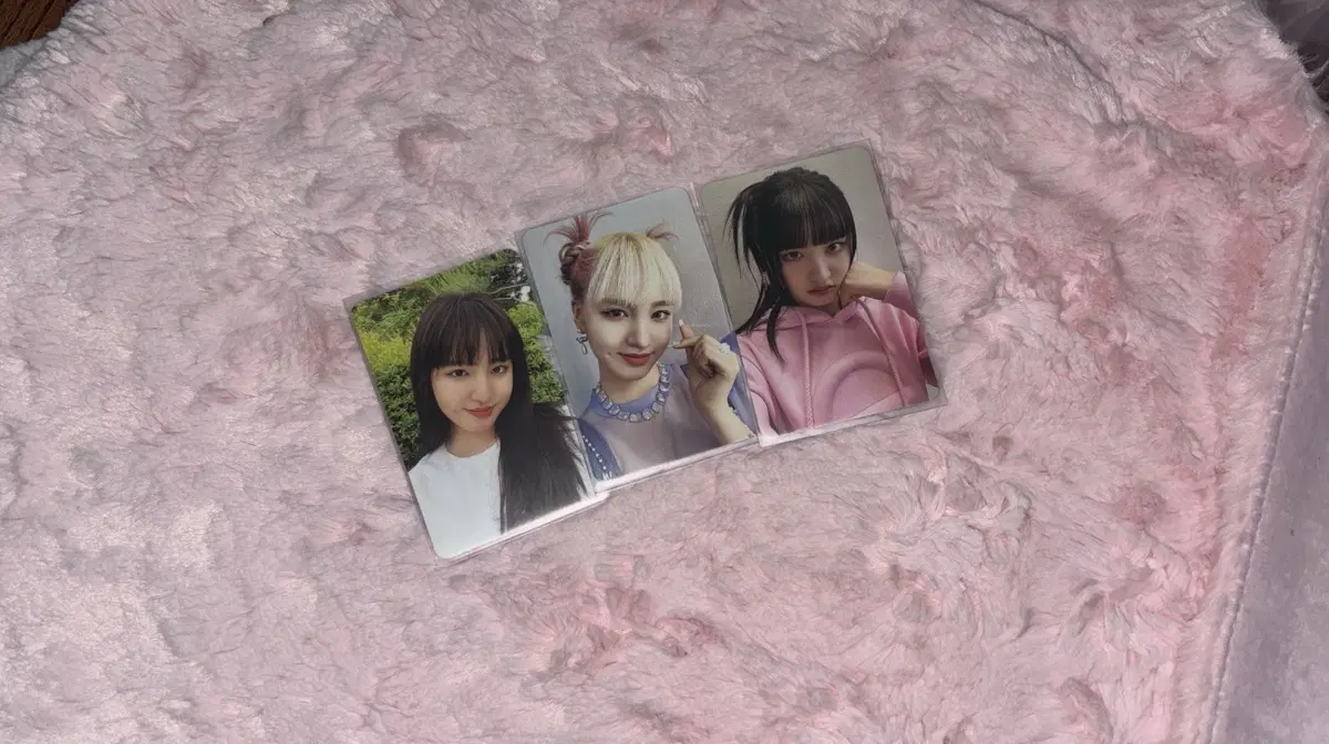 아이브 리즈