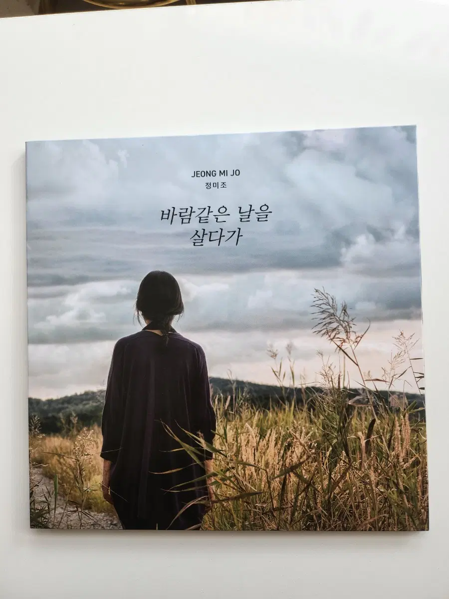 정미조 바람같은 날을 살다가 1809 LP / 단순개봉