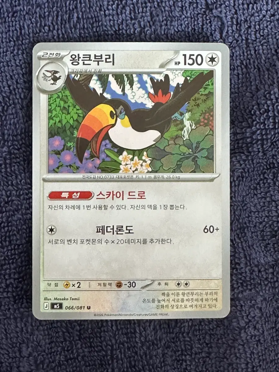포켓몬카드| 왕큰부리 일반 카드 판매합니다