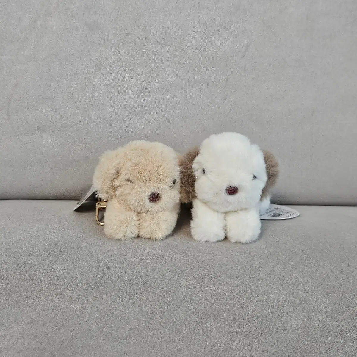 [2종일괄]복슬 강아지 뭉뭉이 인형 키링 세트(베이지, 화이트)
