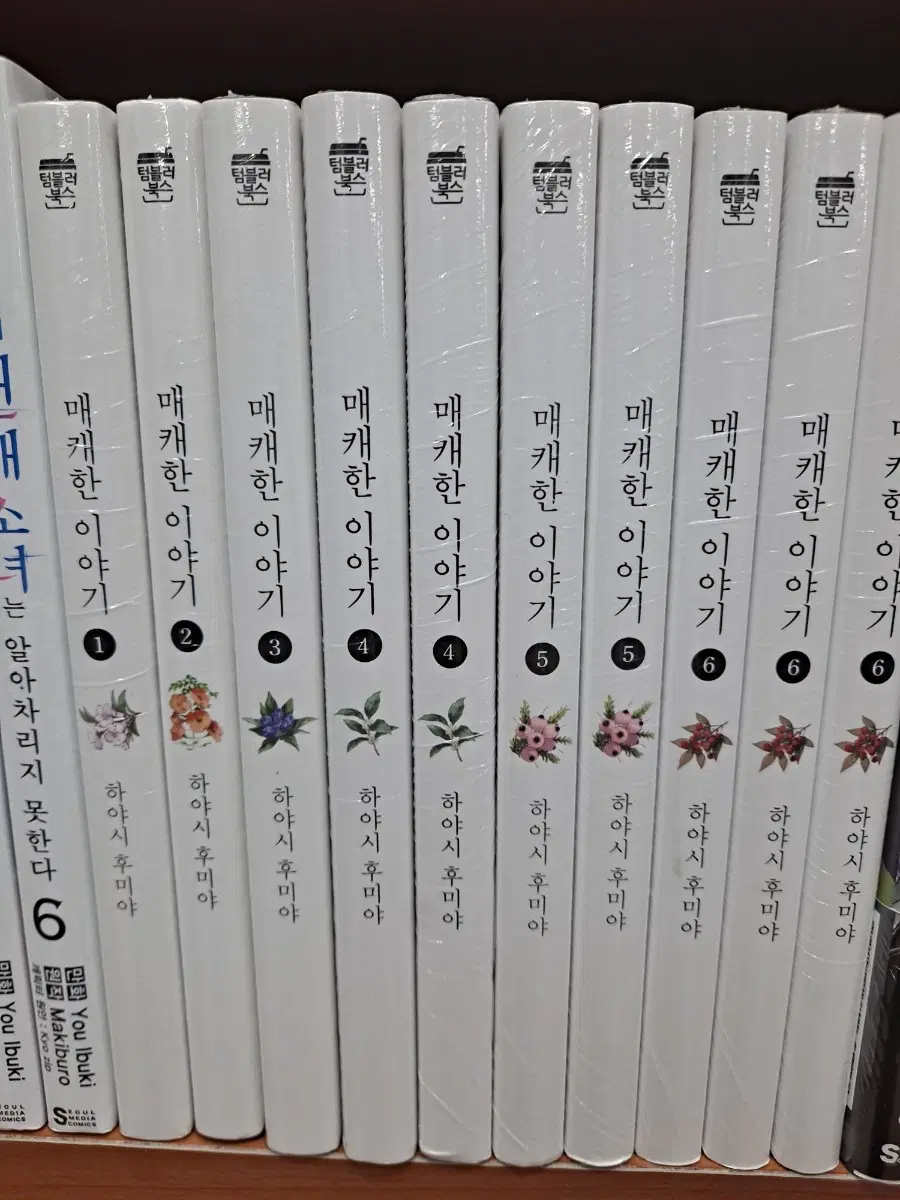 매캐한 이야기 1~6 미개봉 만화짱많아 안전프로상점매장