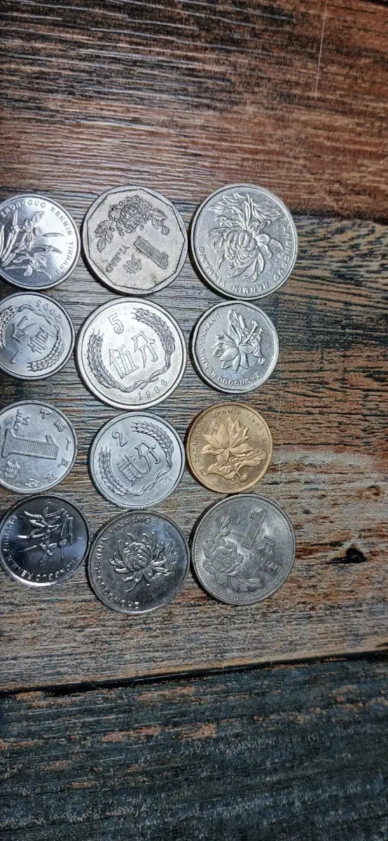 다향한외국동전중국 위안화 동전 세트