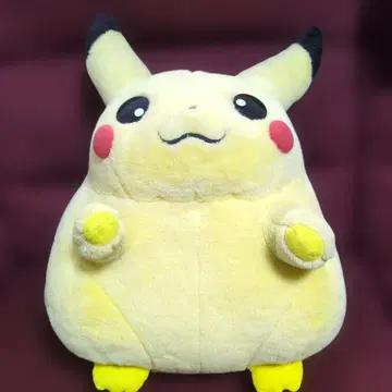 포켓몬 피카츄 봉제 인형 초회