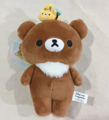 차이로이코구마 곰벌 마스코트 참 아베일
