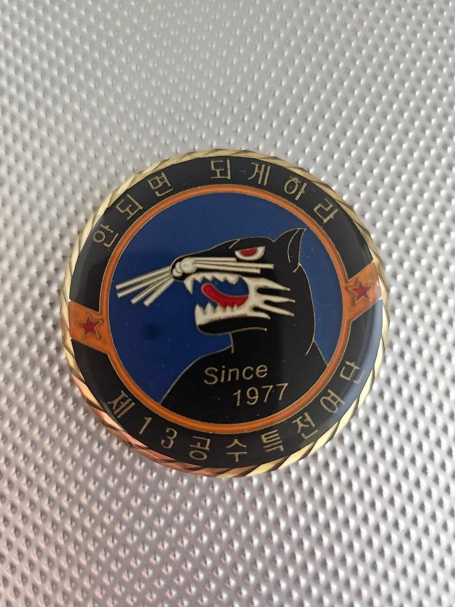 13공수특전여단 코인
