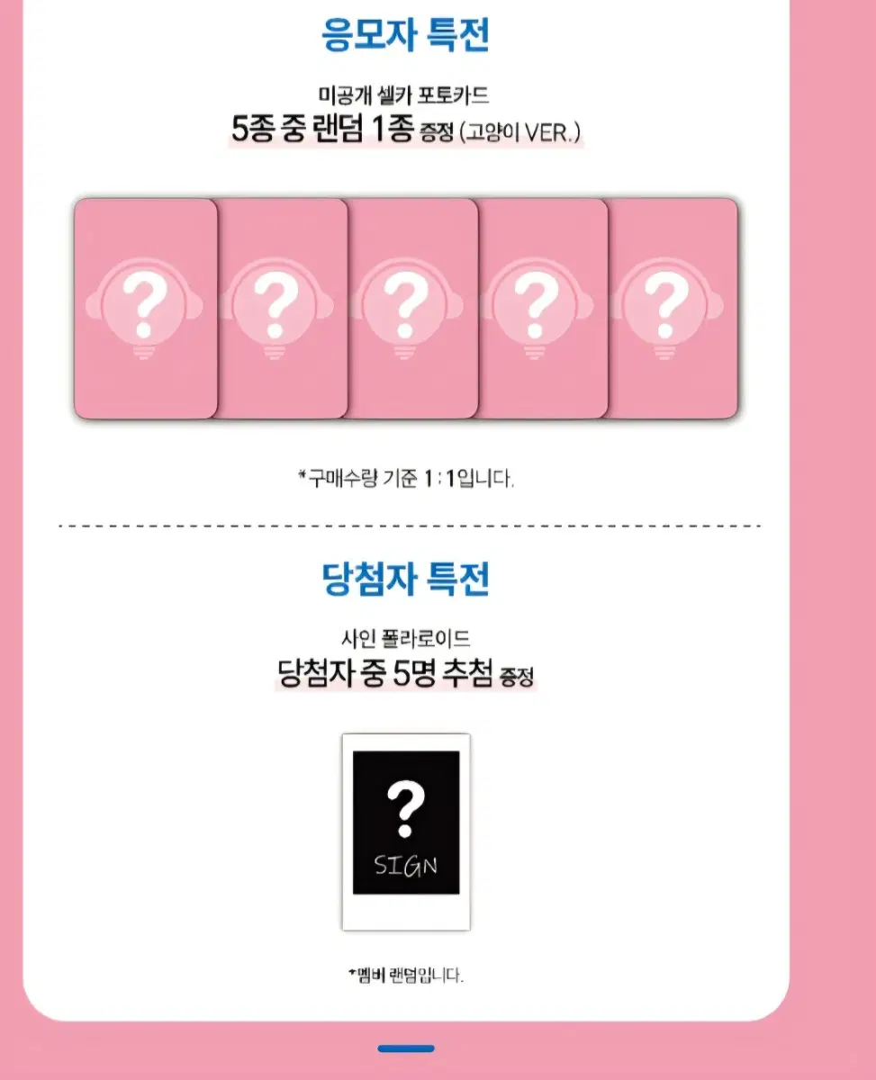 프로미스나인 비트로드 영통 고양이ver 포카 및 앨범 분철합니다