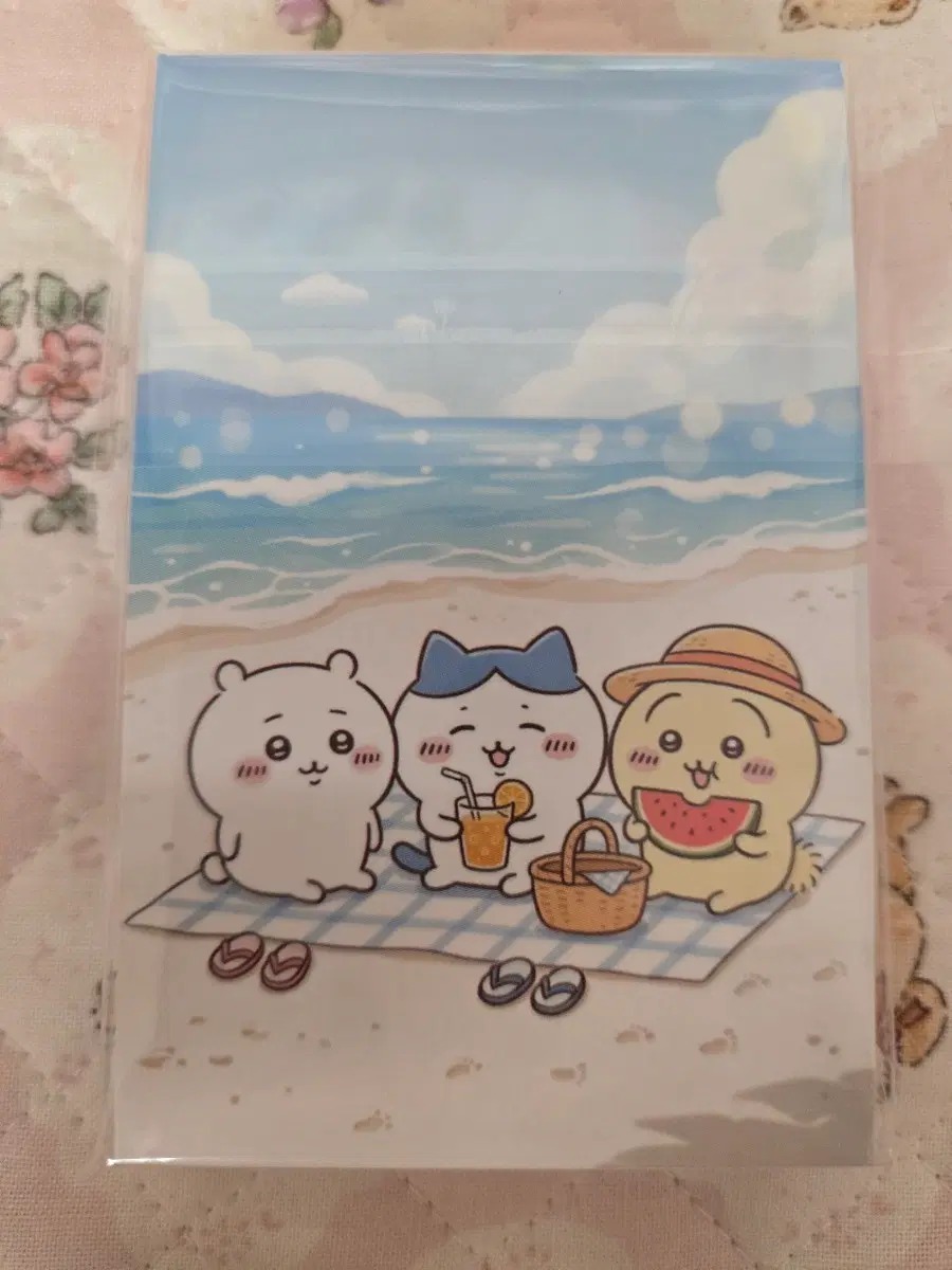 치이카와 포카 키링뒷대지