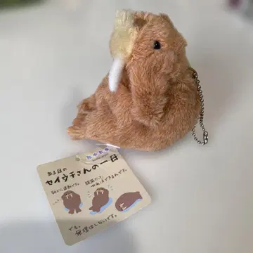 해저 산책 바다코끼리 씨의 하루 복근 봉제 인형
