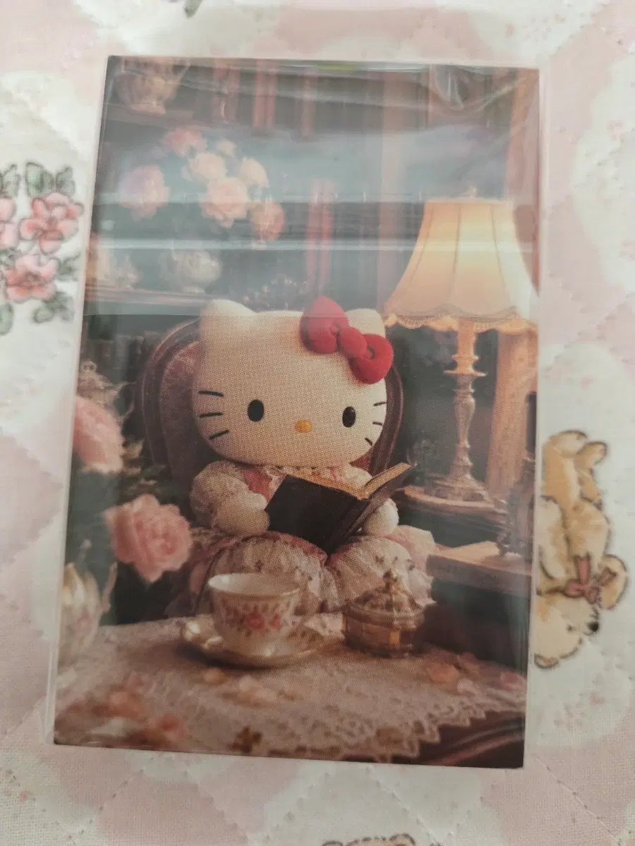 키티 포카 대지