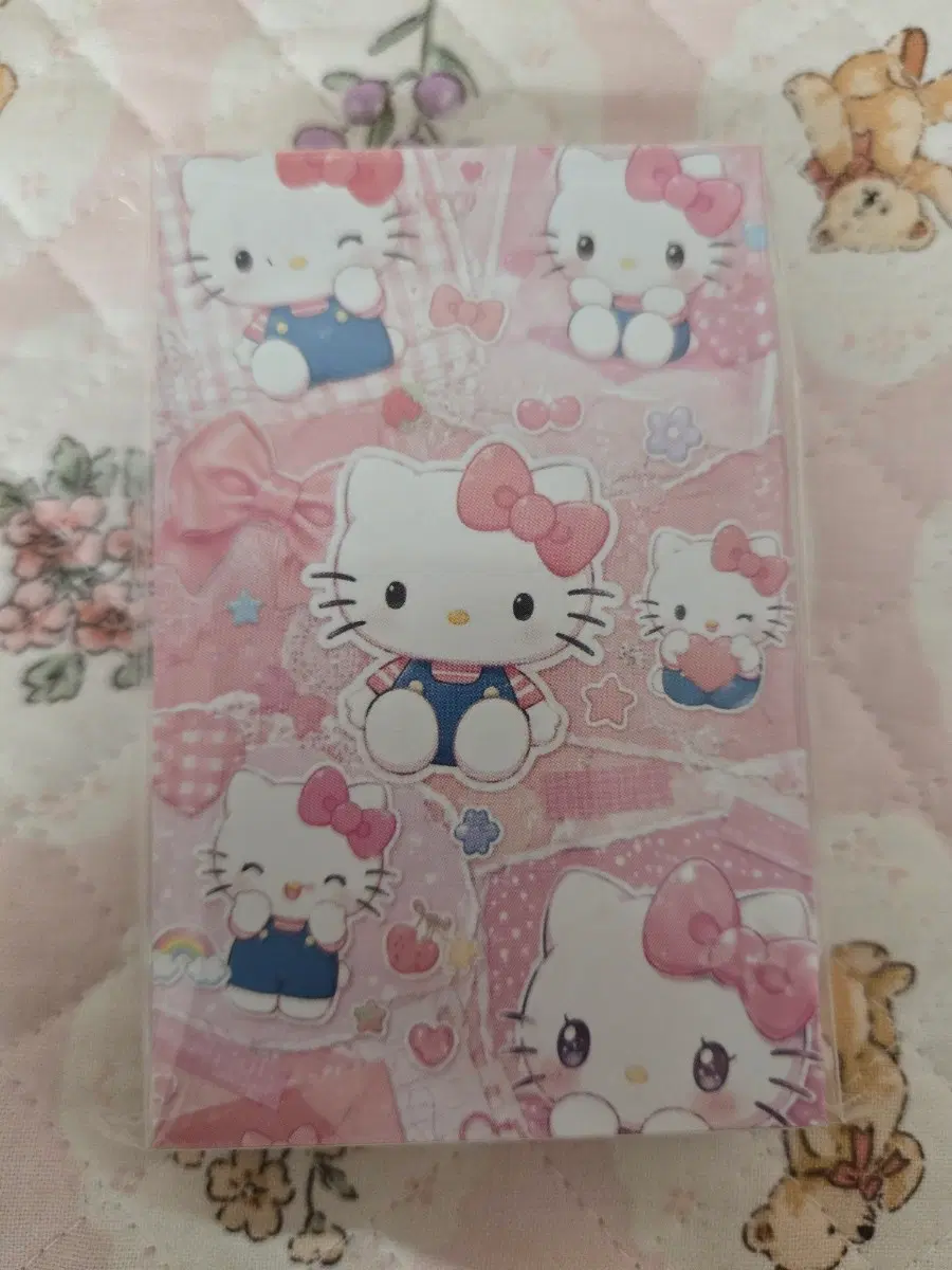 키티 포카 대지