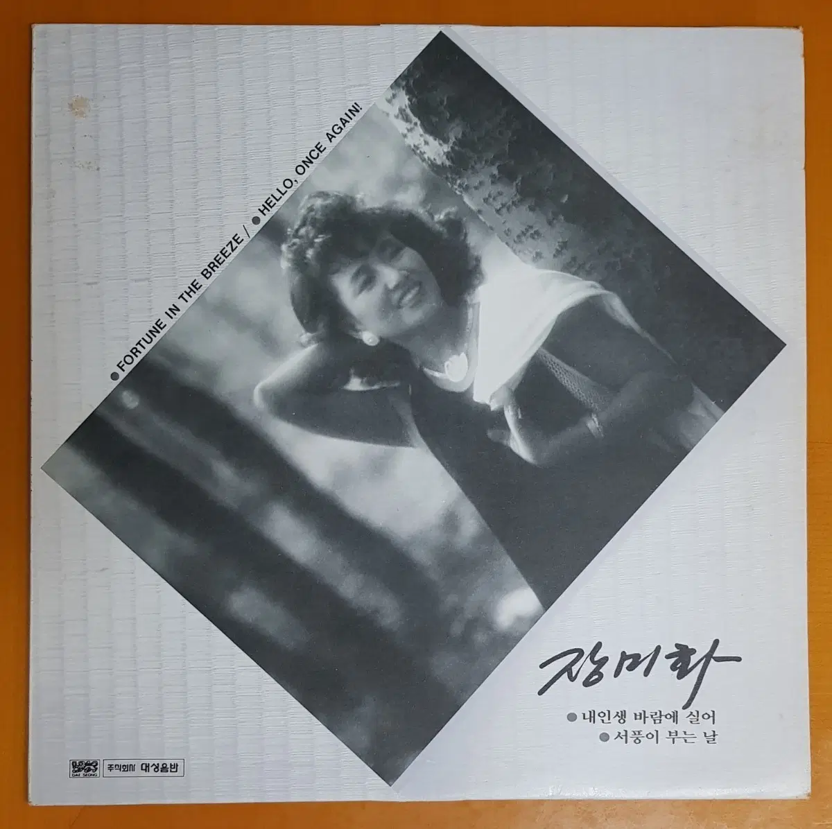 LP/장미화-내인생 바람에 실어/서풍이 부는날