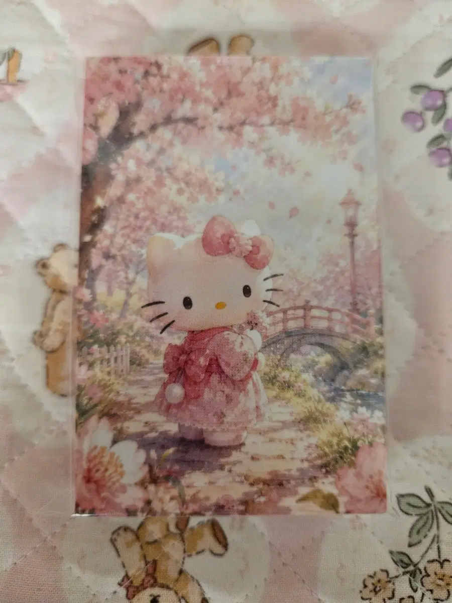 키티 포카 대지