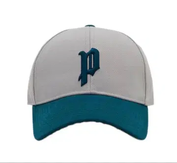 Pointless Journey LOGO BASEBALL CAP GREY