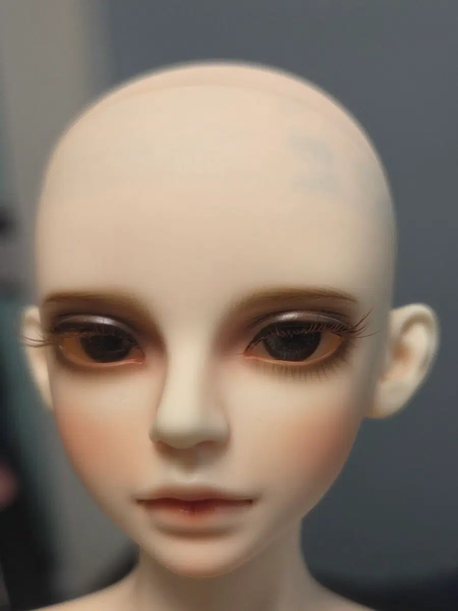 루츠돌 모델델프 테라 노멀