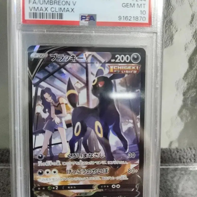 2021 포켓몬 카드 블랙키 VMAX CLIMAX #244 PSA10