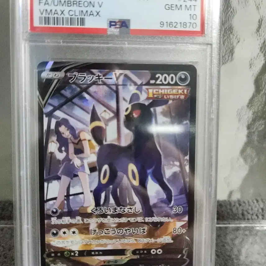 포켓몬 2021 포켓몬 카드 블랙키 VMAX CLIMAX #244 PSA10