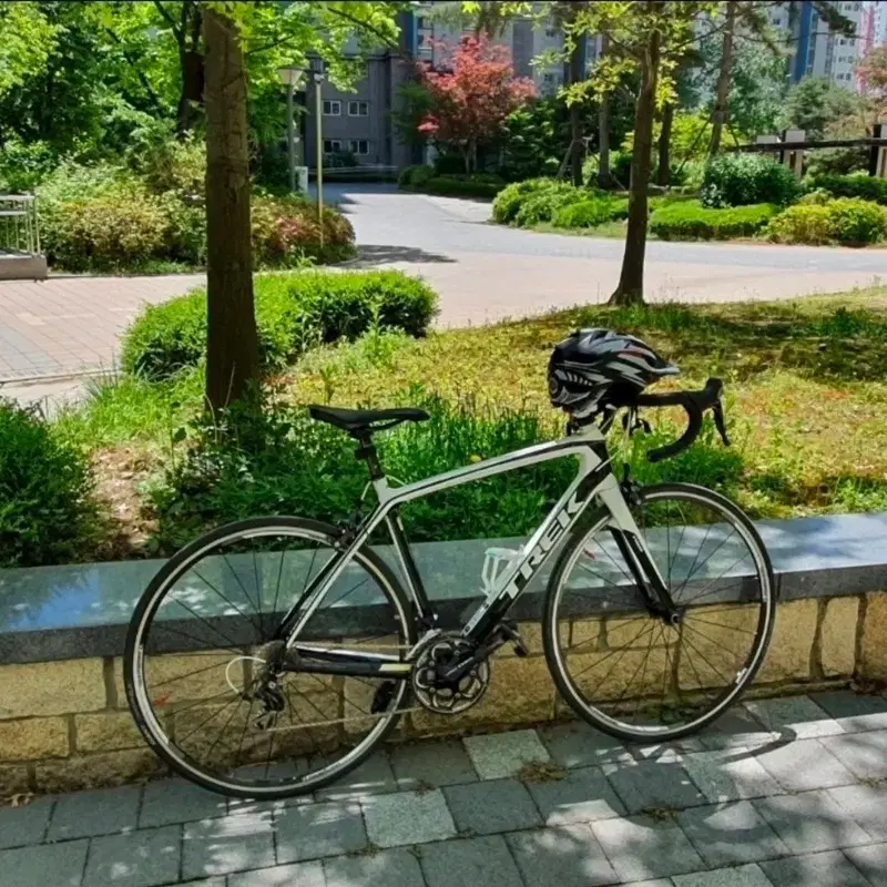 트팩 마돈 4.3 카본 로드자전거 (마지막 가격내림, 가격제안 해주세요)