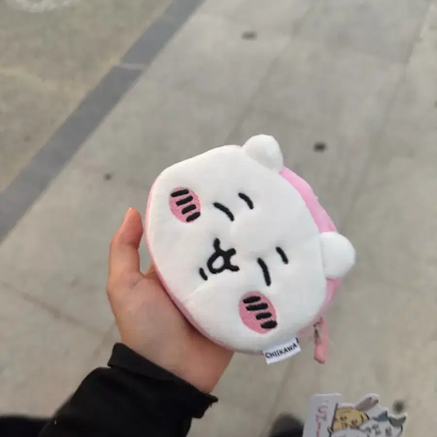 치이카와 파우치